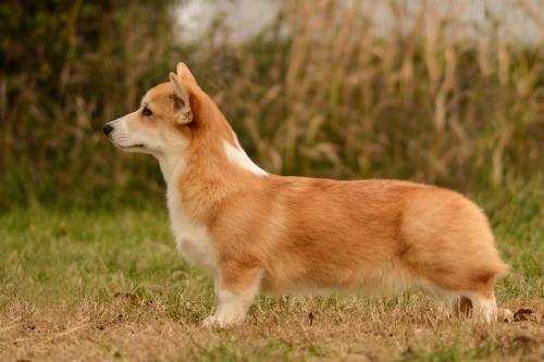 27252256 1c5427ec10368f32243cf7929d9fecd7 xl