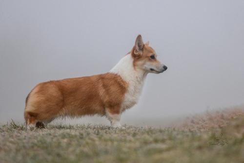 27269290 f4ca28bdd491214500f89b6c09d606a7 xl