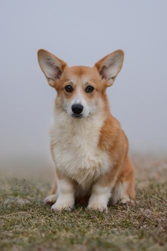 27269292 b972c90a005df530c111d8f2e571c4e9 xl