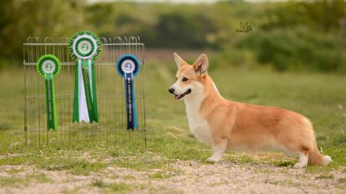 27290242 4d927f1fa70235a4ac3522db03748d5f xl