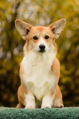 27290264 8335d5edcae5f81f0ca27aa2035c4b95 xl