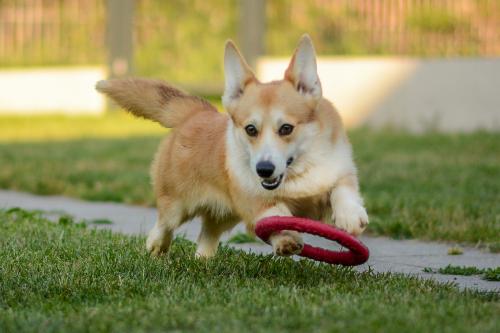 27341812 f3624cefad3d8bf0676ecea99117adca xl