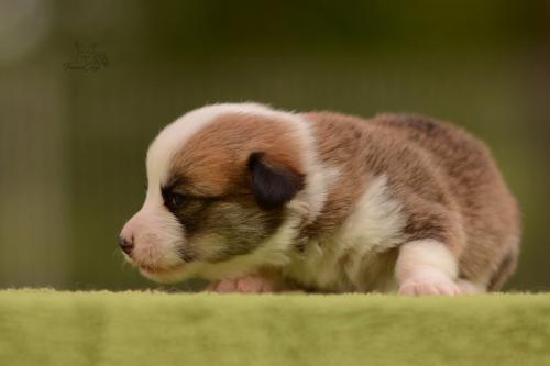 27202572 6403c0243c8cac0707e5d792f3365ff7 xl