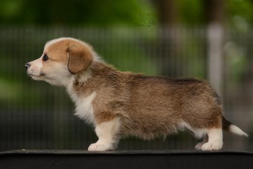 27210580 f6c33dc01a3295f79a5bc5fc6f8e3410 xl