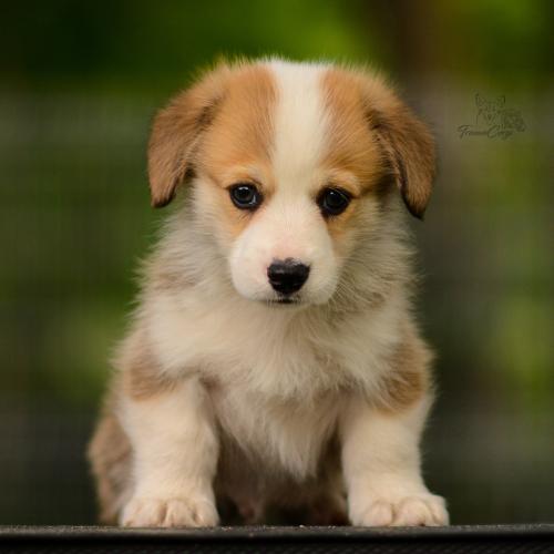 27210582 206b40d3d8a2f69b496f389d9a713bf6 xl