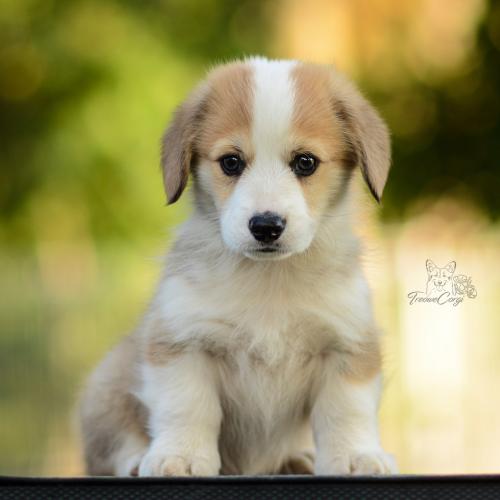 27213128 d586e5e80894fa411209496ecc170846 xl