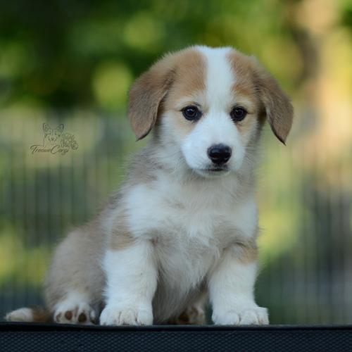 27214892 5056e891a200109cfcbc1a95310e6f9a xl