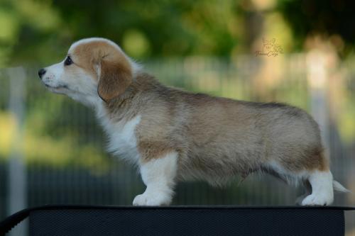 27214894 ec87d67591818a40eb833fff14bf6ed7 xl