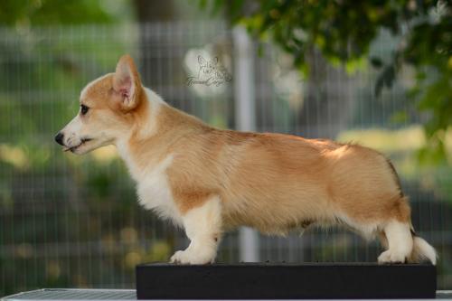 27223748 7af19219f7c6bb5e9fc5205c86e99ddb xl