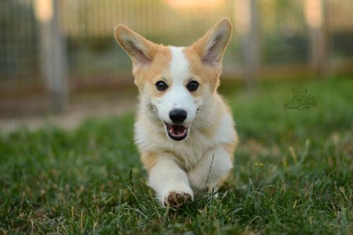 27223848 155cadfe48b3043cbbad8387e4a756ee xl