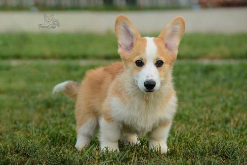 27228458 10943b99ec2d9b1bc1ed0e2c881e0344 xl