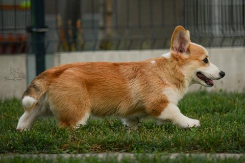 27228464 843ad9ae1c463022a4da57533bf64b09 xl