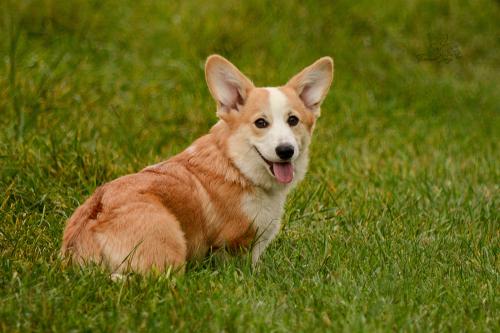 27241594 cbf877ec094b38c1d275fe1b64c66b5b xl