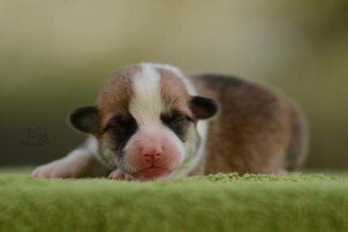 27196040 12dc2946bc64bc95cabe0b514532c7ed xl