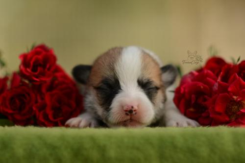 27197240 e66bcd0d414e33ff36ddcced35dbf6b5 xl