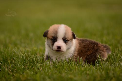 27202556 a8a3bd163fa5adf296137db094bb5ba7 xl