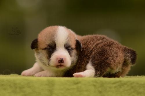 27202568 65a81a21403daff5d269ae7ae66b0596 xl