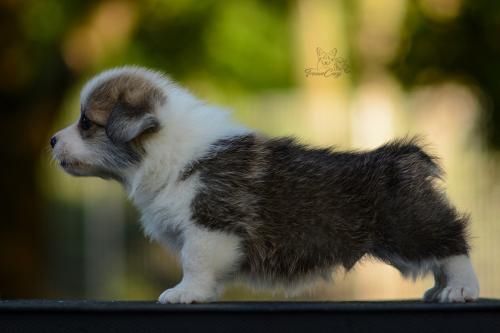 27208740 fe45fe53b24141288b3f15afe4ca51fb xl