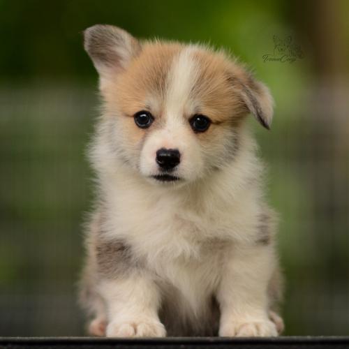 27210574 f20af67fa7a2aa67f7c89d7be3e8fd64 xl