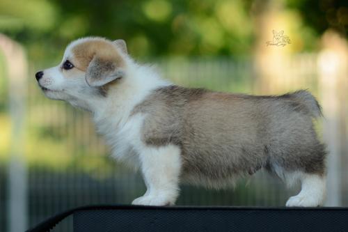 27214884 93b099b8ba6dd32bcb65e05a3f249181 xl