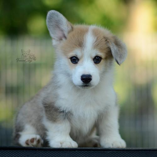 27214886 08ae76c6fe5d3b1408854c1a80a3fc2d xl