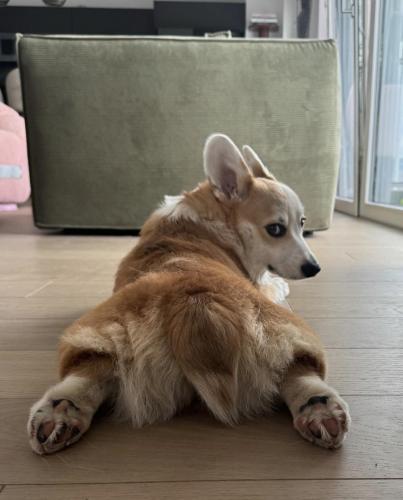 27252292 d3ae67a518fa8092bf27cd6aa8b40669 xl