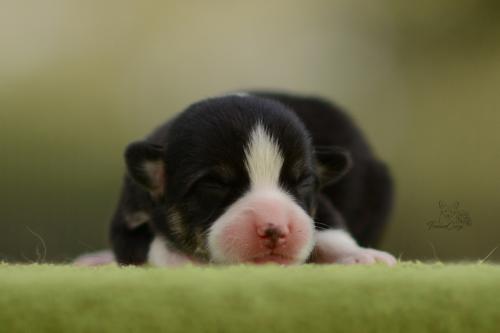 27196052 5e73bffd56d4d93c6ffb05de8d080f8c xl