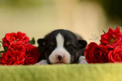 27197242 1d967019044fe6ca2b52c818b5f5ca98 xl