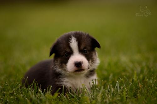 27202564 f220a764904470c1ab7ac7531eb75c69 xl