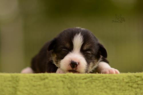 27202574 2ce8a7dc116b444d808c25d287a05412 xl