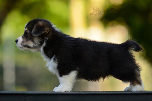 27208750 e97f18ae01c5f323a2a38d2c8777e93c xl