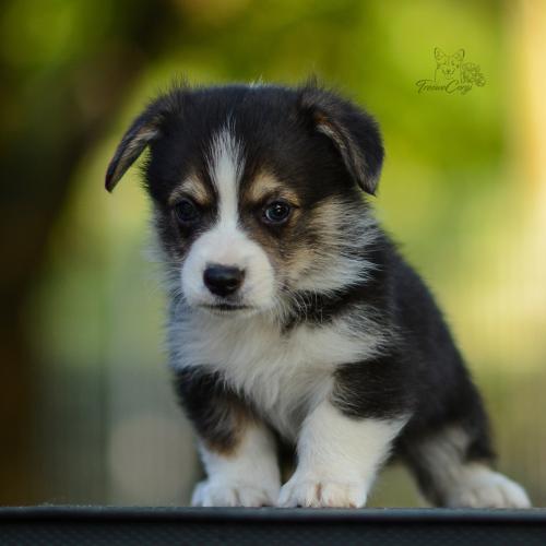 27208752 84677d73b0251f0d77f211747cfbd523 xl