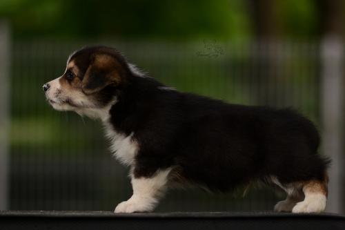 27210584 8c949803f73f15e392f56c337aa0560e xl