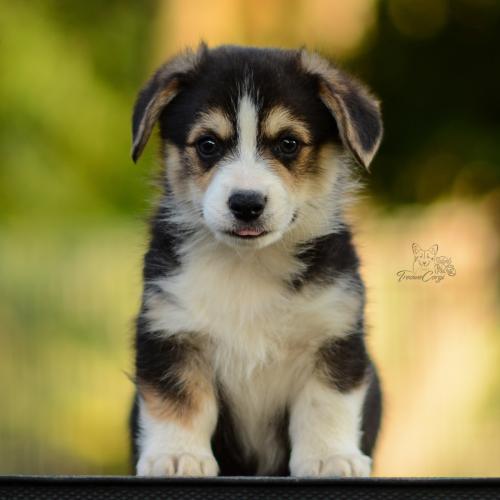 27213132 43e06a3eecefc5d58449d06d6b143947 xl