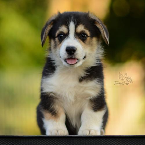 27213134 5cf233b833cb85719e77d5b9dd9e450d xl