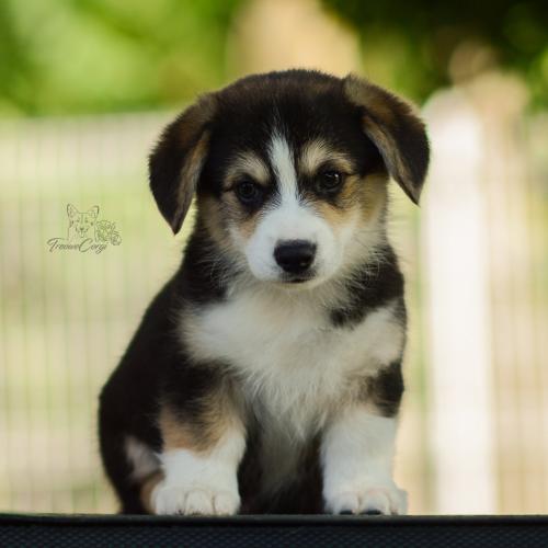 27214896 80e9726aa9fcb737fbf800e327655dad xl