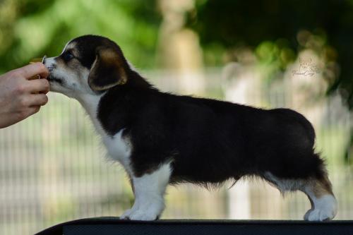 27214898 6685b15b1d9652758354bec73b0f4e90 xl