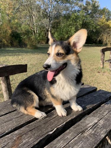 27253858 053d8d06b90fb895c916dfc384b395c5 xl