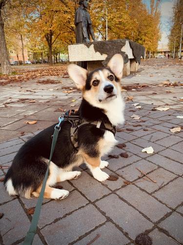 27253860 48f93cd8b75ca4028dbbab6af104fd13 xl