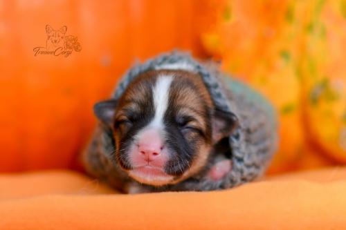 27248870 a7437cc82f0bdae6785726ac6acb20b0 xl