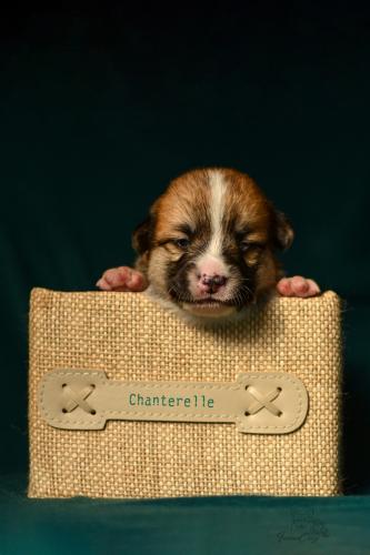 27251554 aa590c3b0f803a123f7d2094c74fc1cf xl