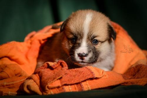 27252922 9fbec2046be28455b36fda5c06332328 xl