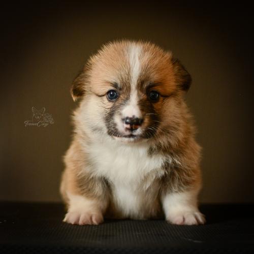 27259406 262dae477aa561bca10ce8f34d268fac xl