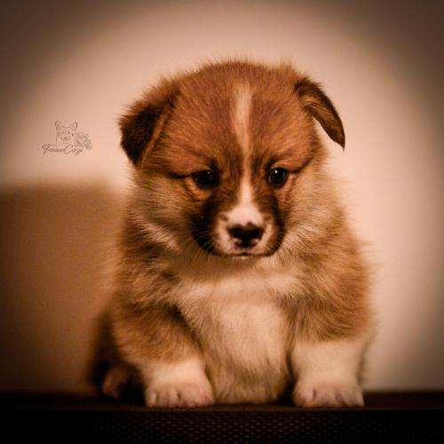 27259442 2ac02e1a0ceaa87d65eb07ff59ef0675 xl