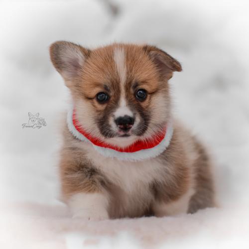 27259458 ec3ee588b6ad8fbf78ccdace16a70194 xl