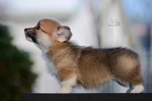 27259484 21d9d367518b77c91932465dcfe1e638 xl