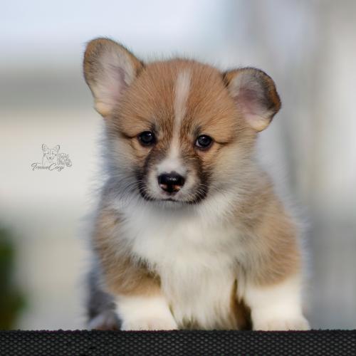 27259486 a596f6ee3900ba0973cf1967c566ce92 xl