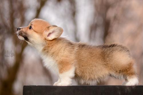 27260610 8333063827f57f923b94e6e2e6603407 xl