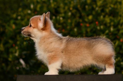 27261800 8f5ee3a67b3de475614398b10be69a9d xl