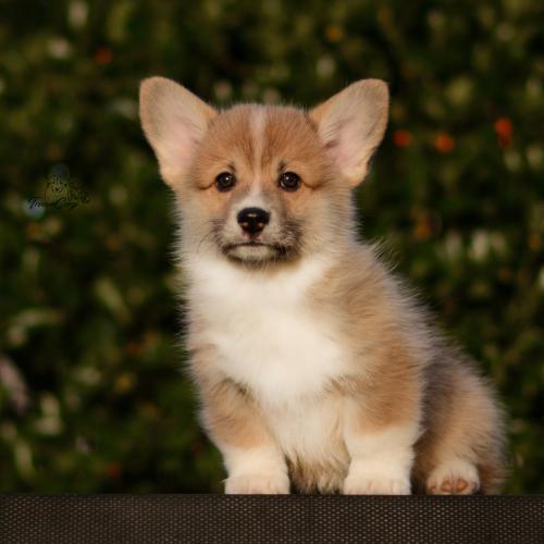 27261802 c6d42a01715f7161794adddd2469d8a3 xl